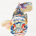 Blue Fish by Pat Saunders-White Blue Fish by Pat Saunders-White
