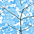Blue Leaves Melody Photograph by Jennie Marie Schell Blue Leaves Melody Photograph by Jennie Marie Schell