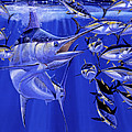 Blue Marlin Round Up Off0031 by Carey Chen Blue Marlin Round Up Off0031 by Carey Chen