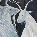 Blue Moon Goats by Tone Aanderaa