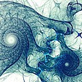 Blue Octopus by Anastasiya Malakhova Blue Octopus by Anastasiya Malakhova
