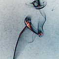 blue smoke trail III by Paulina Roybal blue smoke trail III by Paulina Roybal