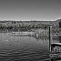 Boat Dock Black and White Photograph by Gwen Gibson Boat Dock Black and White Photograph by Gwen Gibson