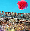 Bogomil Sunrise 2 by Otto Rapp Bogomil Sunrise 2 by Otto Rapp