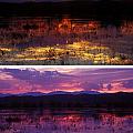 Bosque sunsets Photograph by Steven Ralser Bosque sunsets Photograph by Steven Ralser