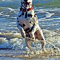 Bounding Happiness by Blair Stuart