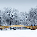 Bow Bridge In Central Park Nyc by Mihai Andritoiu Bow Bridge In Central Park Nyc by Mihai Andritoiu