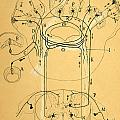 Brain Vestibular Sensor Connections by Cajal 1899 Drawing by Science Source Brain Vestibular Sensor Connections by Cajal 1899 Drawing by Science Source