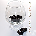Brandy Beans - Liqueur - Chocolate by Barbara Griffin Brandy Beans - Liqueur - Chocolate by Barbara Griffin