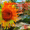 Bricks and Sunflowers Photograph by Alice Gipson Bricks and Sunflowers Photograph by Alice Gipson