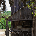 Buggy in the Barn Photograph by Ed Gleichman Buggy in the Barn Photograph by Ed Gleichman