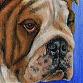 Beautiful Bulldog Oil Painting by Michelle Wrighton