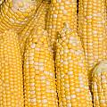 Bushel of Pealed Corn Photograph by James BO Insogna Bushel of Pealed Corn Photograph by James BO Insogna