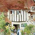Butterflies by Arthur Claude Strachan Butterflies by Arthur Claude Strachan