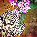 Butterfly Art - Hanging On - By Sharon Cummings by Sharon Cummings Butterfly Art - Hanging On - By Sharon Cummings by Sharon Cummings
