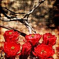 Cactus Flowers 2 Photograph by Julie Lueders Cactus Flowers 2 Photograph by Julie Lueders