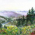 Redwood Creek National Park Painting by Irina Sztukowski Redwood Creek National Park Painting by Irina Sztukowski