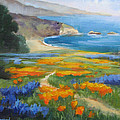 California Spring Big Sur Coast by Karin Leonard California Spring Big Sur Coast by Karin Leonard