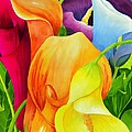 Calla Lily Rainbow Painting by Janis Grau Calla Lily Rainbow Painting by Janis Grau