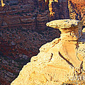 Camel Rock by Roena King Camel Rock by Roena King