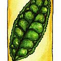 Camellia Sinensis Leaf Painting by Michelle Bien Camellia Sinensis Leaf Painting by Michelle Bien