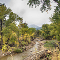 Canyon Gazing Photograph by James BO Insogna Canyon Gazing Photograph by James BO Insogna