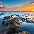 Cape Arago Orcas by Robert Bynum Cape Arago Orcas by Robert Bynum