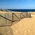Cape Cod Beach Photograph by Mitchell R Grosky Cape Cod Beach Photograph by Mitchell R Grosky