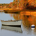 Cape Cod Fall Foliage Photograph by Juergen Roth Cape Cod Fall Foliage Photograph by Juergen Roth