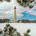 Cape May Light thru Snowy Trees Photograph by Nick Zelinsky Jr Cape May Light thru Snowy Trees Photograph by Nick Zelinsky Jr