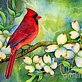 Cardinal on Dogwood Painting by Hailey E Herrera Cardinal on Dogwood Painting by Hailey E Herrera