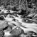 Cascading Rocky Mountain Forest Creek BW Photograph by James BO Insogna Cascading Rocky Mountain Forest Creek BW Photograph by James BO Insogna
