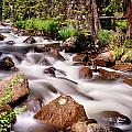 Cascading Rocky Mountain Forest Creek Photograph by James BO Insogna Cascading Rocky Mountain Forest Creek Photograph by James BO Insogna