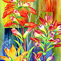 Castilleja Indivisa Painting by Hailey E Herrera Castilleja Indivisa Painting by Hailey E Herrera