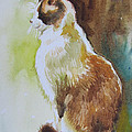 White and Brown Cat Painting by Jyotika Shroff White and Brown Cat Painting by Jyotika Shroff