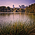 Central Park Scene by Madeline Ellis Central Park Scene by Madeline Ellis