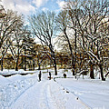 Central Park Snow Storm One Day Later2 by Madeline Ellis Central Park Snow Storm One Day Later2 by Madeline Ellis