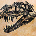 Ceratosaurus Skull Greeting Card For Sale By Harm Plat