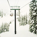 Chair Lift And Snowy Evergreen Trees by Panoramic Images Chair Lift And Snowy Evergreen Trees by Panoramic Images