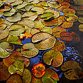 Change of Season by Thu Nguyen Change of Season by Thu Nguyen