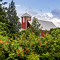 Chapel at the Antique Rose Emporium Photograph by David Morefield Chapel at the Antique Rose Emporium Photograph by David Morefield