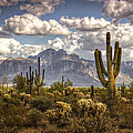 Chasing Clouds Two by Saija Lehtonen Chasing Clouds Two by Saija Lehtonen
