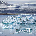 Chasing Ice by Evelina Kremsdorf Chasing Ice by Evelina Kremsdorf