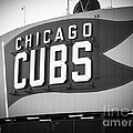 Chicago Cubs Wrigley Field Sign Black and White Picture Photograph by Paul Velgos Chicago Cubs Wrigley Field Sign Black and White Picture Photograph by Paul Velgos