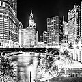 Chicago River Buildings at Night in Black and White Photograph by Paul Velgos Chicago River Buildings at Night in Black and White Photograph by Paul Velgos