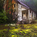 Childhood Dreams Photograph by Debra and Dave Vanderlaan Childhood Dreams Photograph by Debra and Dave Vanderlaan