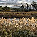 Chincoteague Morning Photograph by Robert Fawcett
