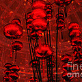 Chinese Lanterns Photograph by Julie Lueders Chinese Lanterns Photograph by Julie Lueders