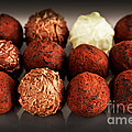 Chocolate truffles 5 by Elena Elisseeva