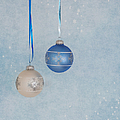 Christmas Elegance Photograph by Kim Hojnacki Christmas Elegance Photograph by Kim Hojnacki